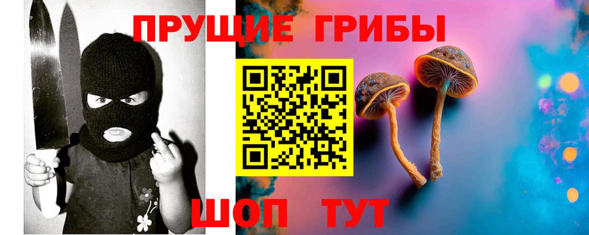 Лсд 25 Минеральные Воды
